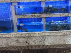 -香山湖渔家大院