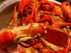 高压锅蒸大虾-蚝翅·海鲜粥·烧烤·宁夏滩羊季(玉米楼店)