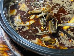 -金海椒罐罐鲢鱼(东方桂苑店)