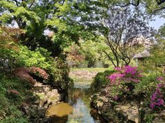-上海醉白池公园