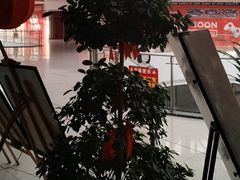 -偶屋里钵少爷(时代广场店)