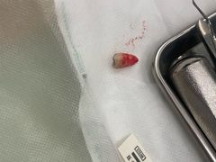 -泰康拜博口腔(世博园乐尔店)