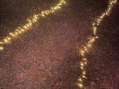 -朝阳公园游乐园