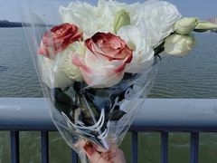 -循礼门鲜花花市(武汉循礼门店)