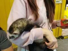 -中粮·祥云小镇