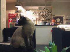 -吱咖啡西式简餐