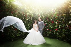 -韩国艺匠ARTIZ STUDIO(博览中心店)