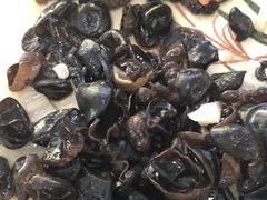 -祝家饺子馆