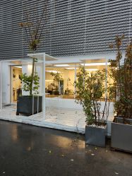 点击看大图 -Hair Gallery