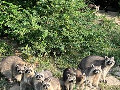 -宁波野生动物园