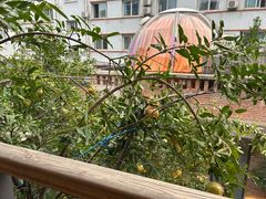 -羊门客在·烤盐池滩羊·川菜