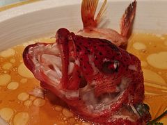 -金轩中餐厅 Jin Xuan(浦东丽思卡尔顿酒店)