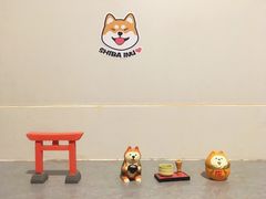 -柴务处·柴犬主题狗咖