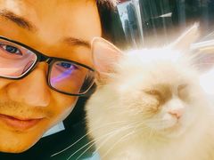 -喵喵咪呀布偶猫咖(春熙路店)
