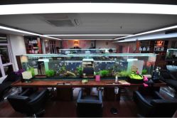 iphone_upload_pic-小左美发