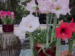 -华南国家植物园-售票处