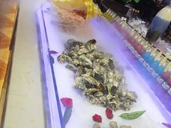 -比尔森韩式烤肉自助(绿园店)