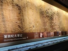 -大庆市博物馆