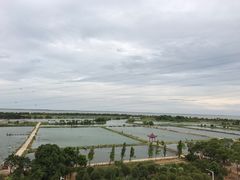 -军山湖云水间生态农业旅游景区