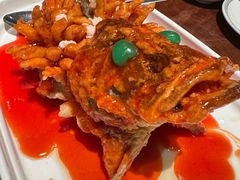 松鼠桂鱼-松鹤楼(山塘街店)