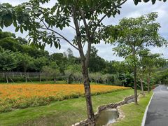 -香山湖公园