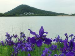 -南北湖风景区
