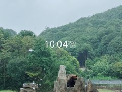 -杭州野生动物世界