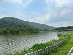 -风云岭森林公园