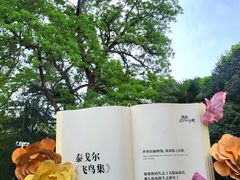 -西苑公园