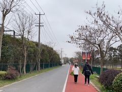 -上海长兴岛郊野公园