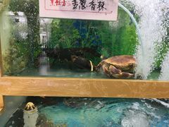 -良师门滨海人家·海鲜·家常菜(滨海城店)