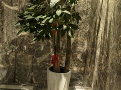 -弘安丽水温泉酒店