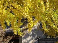 -潭柘寺景区
