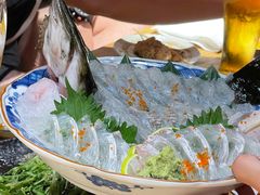 -桂马·日本料理·海胆·海鲜饭·酒场(民主广场店)