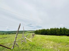 -塞罕坝国家级自然保护区