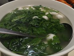 -丁老爷子苏香圆