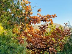 -北京十三陵国家森林公园蟒山景区
