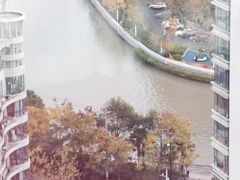 -新湖明珠城