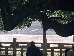 -江心屿景区