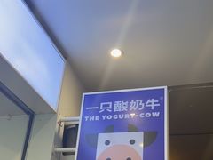 -一只酸奶牛(春熙路店)
