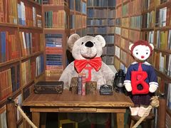 -济州岛泰迪熊博物馆