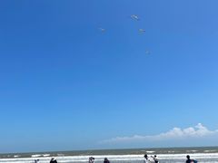 -日照海滨国家森林公园