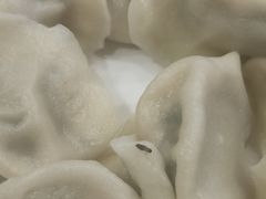 猪肉茴香饺子-双井轩(双井店)