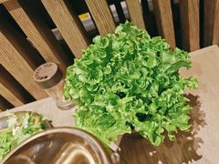 -西塔老太太泥炉烤肉(沈阳店)
