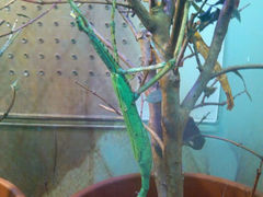android_upload_pic-上海大自然野生昆虫馆
