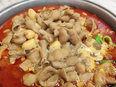 -彭记铁锅肥肠(东四总店)