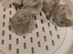 -百饺园(平山道店)