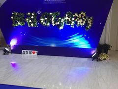 -百万葵园