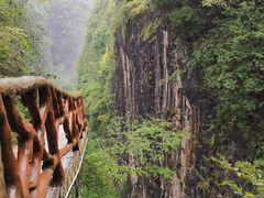 -鹿院坪生态旅游景区