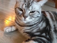 -星巴克臻选(郑州国贸360广场店)